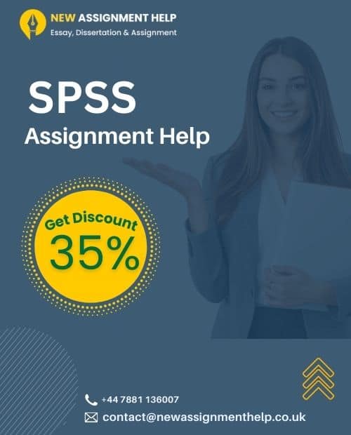 SPSS Assignment Help for UK Students